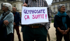 Une manifestation contre l'usage du glyphosate, à Rennes, le 12 octobre 2023 ( AFP / Damien MEYER )