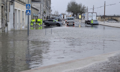 Libourne, ce jeudi 19 février. ( AFP / PAUL LARGILLIERE )