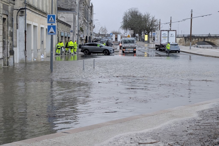 Libourne, ce jeudi 19 février. ( AFP / PAUL LARGILLIERE )