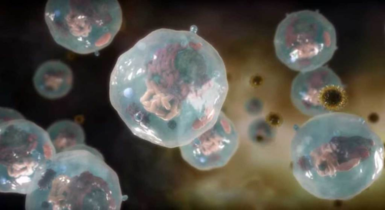 ABX464 est aussi le seul catalyseur boursier à court terme pour le titre. (© Abivax)