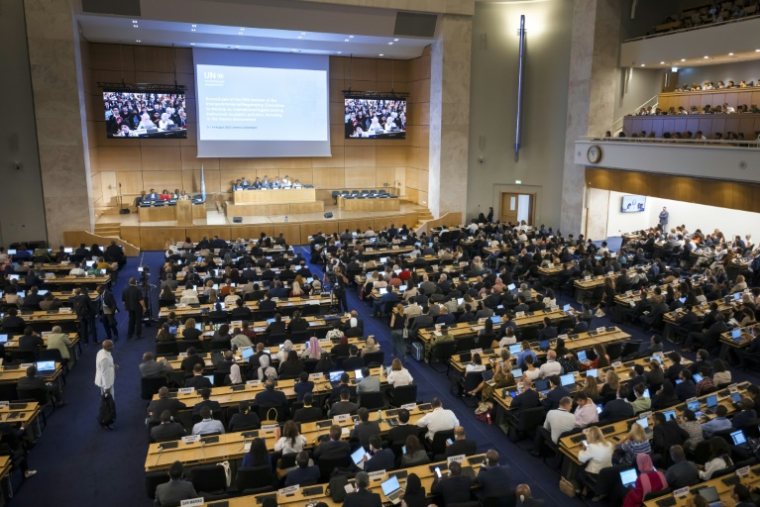 Les représentants de 184 pays ont débuté à Genève des négociations sous l'égide de l'Onu pour tenter d'écrire le premier traité résolvant la crise mondiale de la pollution plastique, le 5 août 2025, en Suisse ( AFP / Fabrice COFFRINI )