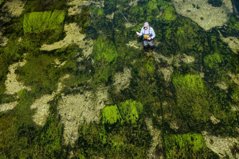 Bob Wellard, directeur de la Piscatorial Society, pêche à la mouche le 25 août 2026 dans la rivière Itchen, en Angleterre ( AFP / Justin TALLIS )