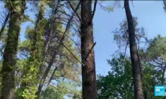 Incendies en Gironde: évacuation préventive de 8.000 personnes