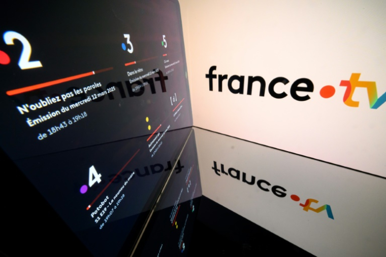 Dans les 69 recommandations de son rapport de commission d'enquête, le député UDR Charles Alloncle cible particulièrement France Télévisions ( AFP / Lionel BONAVENTURE )