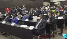 Lutte contre Ebola : découverte d'un nouveau traitement