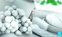 Brocéliande, la forêt enchantée