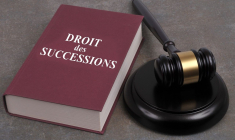 (Crédits photo : Adobe Stock -  )