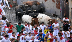 Lâcher de taureaux à Pampelune, en Espagne, le 14 juillet 2026 ( AFP / ANDER GILLENEA   )