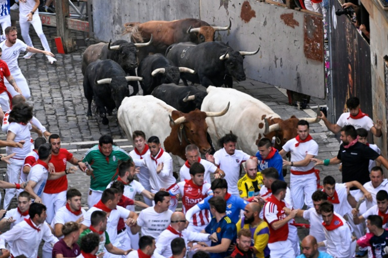 Lâcher de taureaux à Pampelune, en Espagne, le 14 juillet 2026 ( AFP / ANDER GILLENEA   )