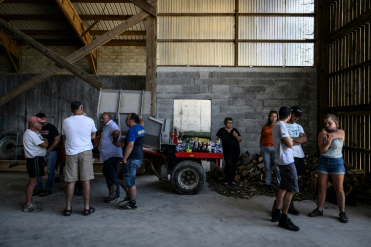Eleveurs et voisins réunis dans une exploitation pour empêcher l'euthanasie par les services vétérinaires d'un cheptel de bovins après un cas de dermatose nodulaire, le 11 juillet 2025 à Entrelacs, en Savoie  ( AFP / JEFF PACHOUD )