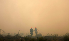 Des pompiers dans la fumée du mégafeu en Gironde, le 26 juillet 2026 à Arès ( AFP / ROMAIN PERROCHEAU )