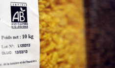 ( AFP / FRED TANNEAU )