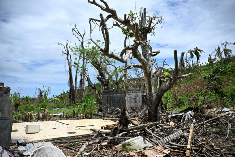 Un homme assis près d'un arbre, dans les décombres d'une maison détruite par le cyclone Chido, le 4 janvier 2025 à Bandraboua, à Mayotte ( AFP / JULIEN DE ROSA )