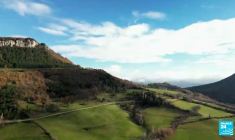 Loup : cohabiter avec un superprédateur