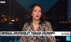 Législatives au Bénin : le parti d'opposition les Démocrates veut déposer un recours