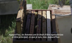 Dans l'agriculture, le parcours des combattantes