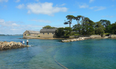 L'île Berder reliée à Larmor-Baden par la chaussée submergée par la marée haute, dans le Golfe du Morbihan.(Crédit photo: Rundvald - Wikimedia commons)