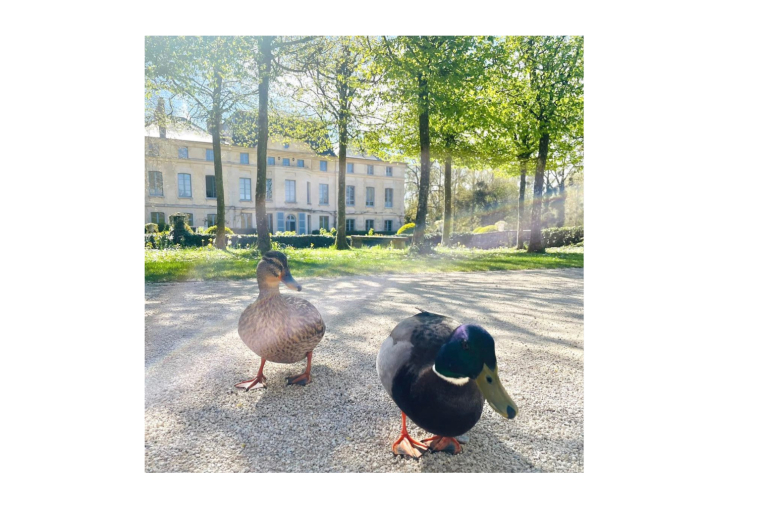 Escapade champêtre aux portes de Paris (Capture Instagram @domainedeprimard)