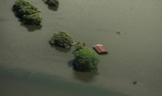 Cette vue aérienne prise lors d'un survol de la marine mexicaine montre une maison inondée après de fortes pluies à Poza Rica, dans l'État de Veracruz, au Mexique, le 11 octobre 2025 ( AFP / Hector Quintanar  )