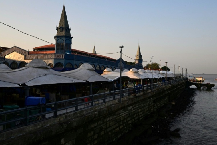 Le marché Ver-o-Peso à Belem, le 5 novembre 2025 au Brésil ( AFP / Pablo PORCIUNCULA )