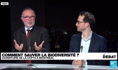 Comment sauver la biodiversité ? Ouverture de la COP15 à Montréal