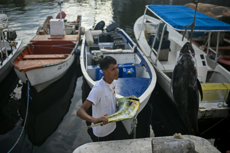 Un pêcheur sort sa prise du jour dans un port de Caraballeda, dans l'État de La Guaira, au Venezuela, le 24 septembre 2025 ( AFP / Federico PARRA )