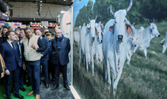 Le président Emmanuel Macron (g) au Salon de l'agriculture le 21 février 2026 à Paris devant un hologramme d'une vache  ( POOL / Aurelien Morissard )