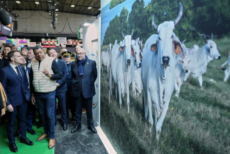 Le président Emmanuel Macron (g) au Salon de l'agriculture le 21 février 2026 à Paris devant un hologramme d'une vache  ( POOL / Aurelien Morissard )