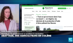 Dermatose nodulaire : comment en venir à bout ?