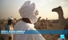 Soudan : le marché de dromadaires d'El Molih, l'un des plus grands d'Afrique