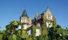 Le fonds en euros de la MACSF a directement bénéficié de la vente en 2022 de ce grand cru classé margaux, l'un des plus vastes vignobles des grands crus classés datant de 1855. (© Château Lascombes)