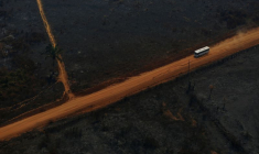 LA CONSTRUCTION DE ROUTES EN AMAZONIE POURRAIT DÉTRUIRE DES MILLIONS D'HECTARES DE FORÊTS, SELON UNE ÉTUDE
