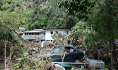 Une voiture ensevelie sous les arbres tombés pendant la tempête Garance à La Colline, près de Saint-Denis de La Réunion, le 2 mars 2025 ( AFP / Richard BOUHET )