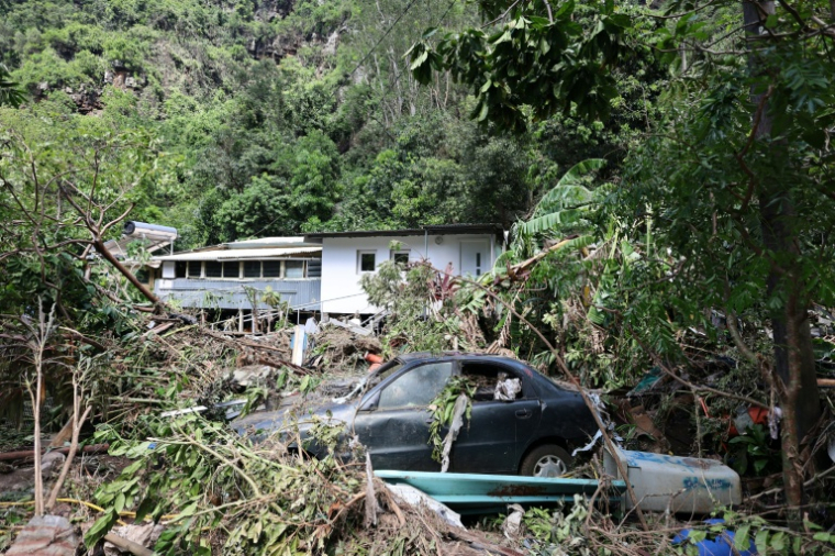 Une voiture ensevelie sous les arbres tombés pendant la tempête Garance à La Colline, près de Saint-Denis de La Réunion, le 2 mars 2025 ( AFP / Richard BOUHET )
