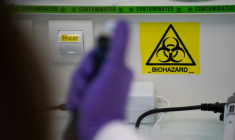 Le virus Shamonda, connu pour circuler chez des animaux d'élevage, a été détecté pour la première fois chez un être humain, un patient sévèrement immunodéprimé, décédé en France début octobre  ( AFP / LOIC VENANCE )