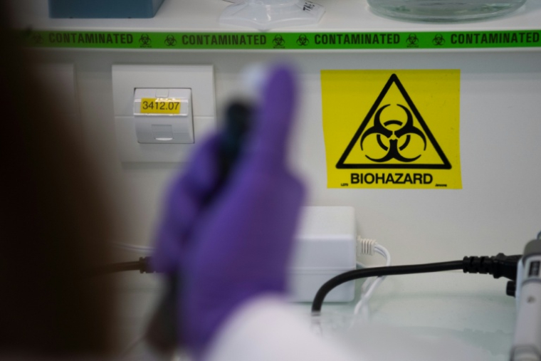 Le virus Shamonda, connu pour circuler chez des animaux d'élevage, a été détecté pour la première fois chez un être humain, un patient sévèrement immunodéprimé, décédé en France début octobre  ( AFP / LOIC VENANCE )