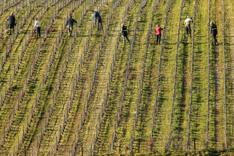 ( AFP / FRANCOIS NASCIMBENI )