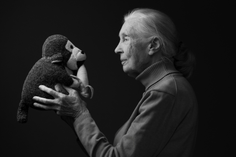Jane Goodall le 18 octobre 2024 à Paris ( AFP / JOEL SAGET )