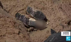 Guerre en Ukraine : les témoignages des exactions commises à Boutcha