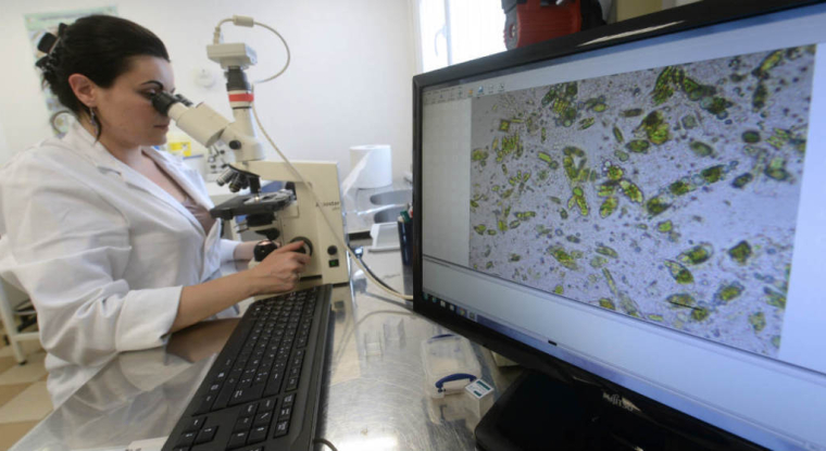 L'action Fermentalg a rebondi de plus de 95% en Bourse en quelques mois. (© M. Fedouach / AFP)