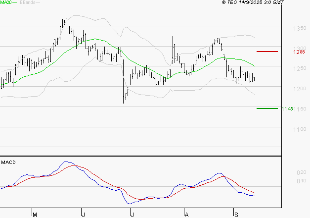 CARREFOUR SA : Sous les résistances, une consolidation est probable
