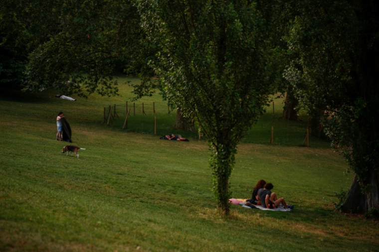 Des personnes se reposent sur l'herbe pour se mettre à l'abri de la chaleur au Parc des Buttes-Chaumont à Paris, tôt dans la matinée du 26 juin 2026 ( AFP / Dimitar DILKOFF )