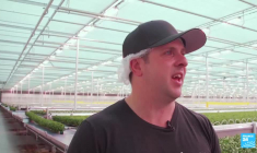 Boom des serres en Ontario : la Canada accroît son autosuffisance alimentaire