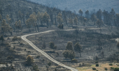 Une route au milieu d'un paysage ravagé par les flammes lors d'un incendie dans l'Aude, à Coustouge, le 8 août 2025 ( AFP / Lionel BONAVENTURE )