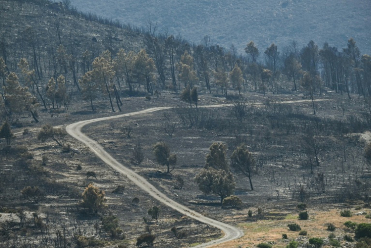 Une route au milieu d'un paysage ravagé par les flammes lors d'un incendie dans l'Aude, à Coustouge, le 8 août 2025 ( AFP / Lionel BONAVENTURE )