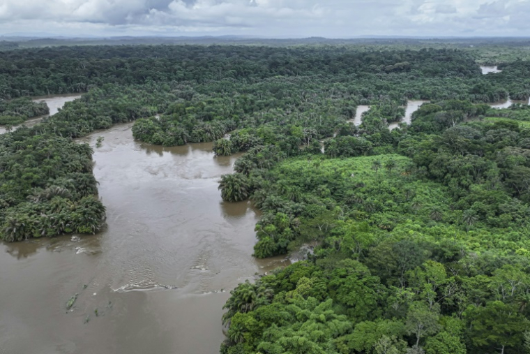 Vue aérienne de la rivière Moa qui entoure l'île de Tiwai, un trésor de biodiversité dans le sud-est de la Sierra Leone. Le complexe de Gola-Tiwai - composé de la réserve de Tiwai et du parc national de la forêt tropicale de Gola - est entré le 13 juillet 2025 au patrimoine mondial de l'humanité à l'issue d'un vote lors de la 47ème session du Comité du patrimoine mondial de l'UnescoAn aerial view of the Moa River near Tiwai Island, on July 1, 2025. Tommy Garnett has dedicated his life to environmental protection projects in West Africa, especially in Sierra Leone and Liberia. Together with his NGO he has restored the environmental integrity of the Gola-Tiwai complex, comprising the Tiwai Island Reserve and the Gola Rainforest National Park in southeastern Sierra Leone which was nearly destroyed. On Sunday this complex became a World Heritage Site following a vote at the 47th session of UNESCO's World Heritage Committee in Paris. This is the first time Sierra Leone has been recognized by UNESCO for one of its sites. ( AFP / Saidu BAH )