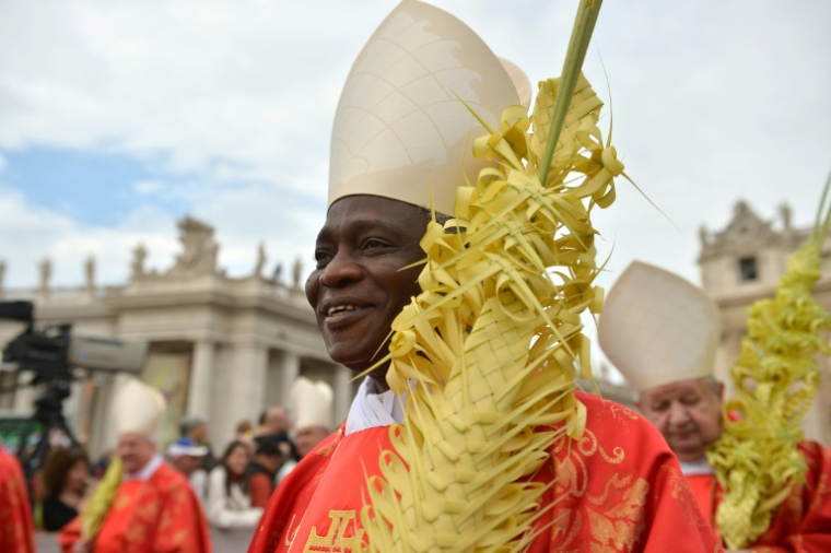 Le cardinal ghanéen Peter Turkson lors des célébrations du dimanche des Rameaux place Saint-Pierre au Vatican en avril 2014 ( AFP / GABRIEL BOUYS )