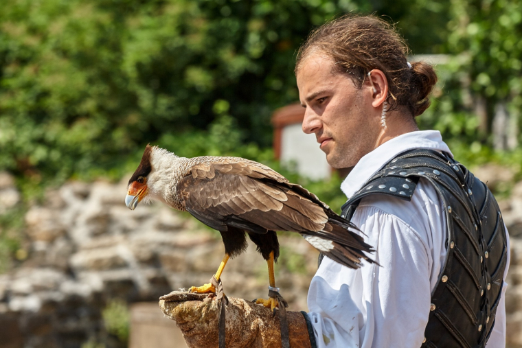 Le Puy du Fou, une immersion à vivre en famille (Crédits photo : Shutterstock)