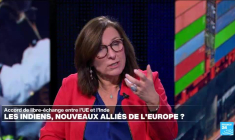 Accord de libre-échange : les Indiens, nouveaux alliés de l'Europe ?