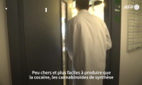 Enquête: flambée des "bad trips" liés au CBD trafiqué